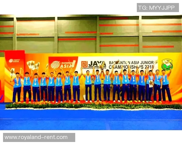 北京羽毛球队在挑战赛中的状态表现分析与未来展望