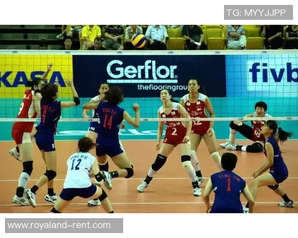 南京排球队的战术解析与控制体系研究探讨